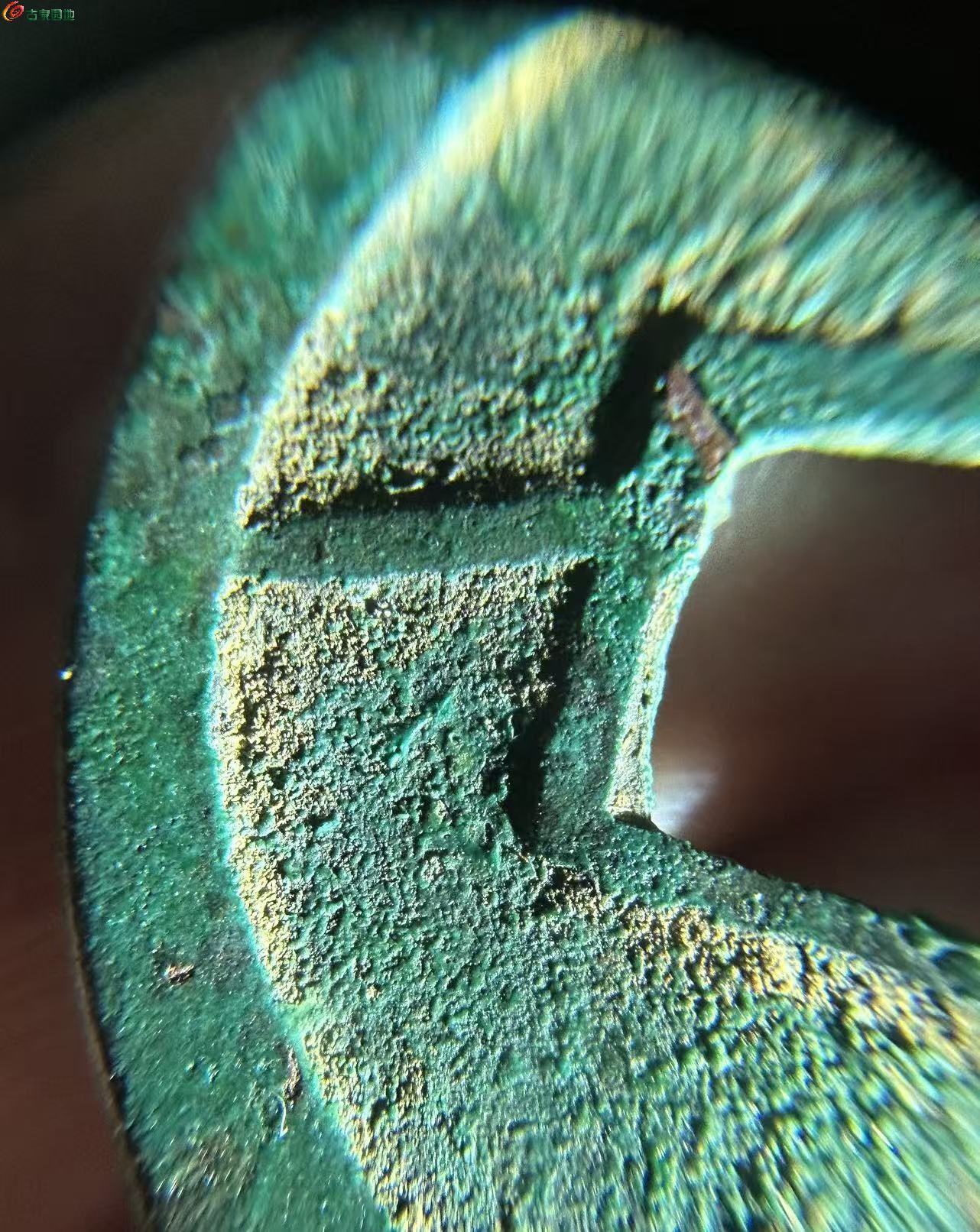 100CF4DB-08E3-42BD-8486-CA90166F13FF.jpe