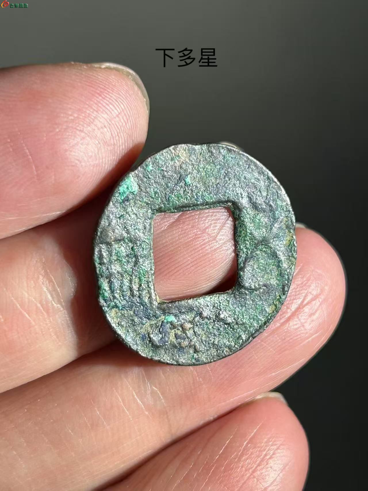 E2CF5721-7A57-42F1-A70E-64BB4035150E.jpe