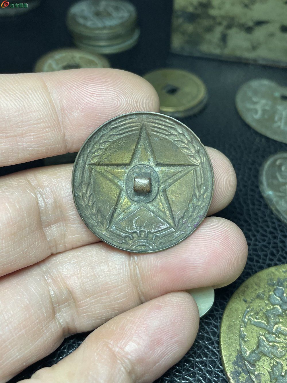 0084B2D4-D9FB-4F18-9A04-93C3C4B02D2E.jpe