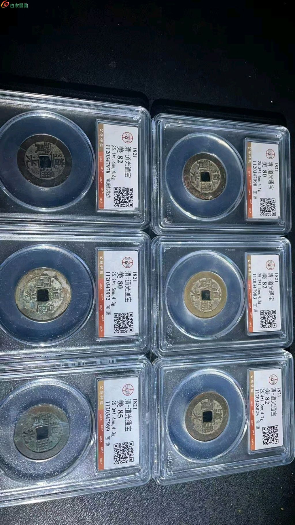 1772338398698.xfile.jpg