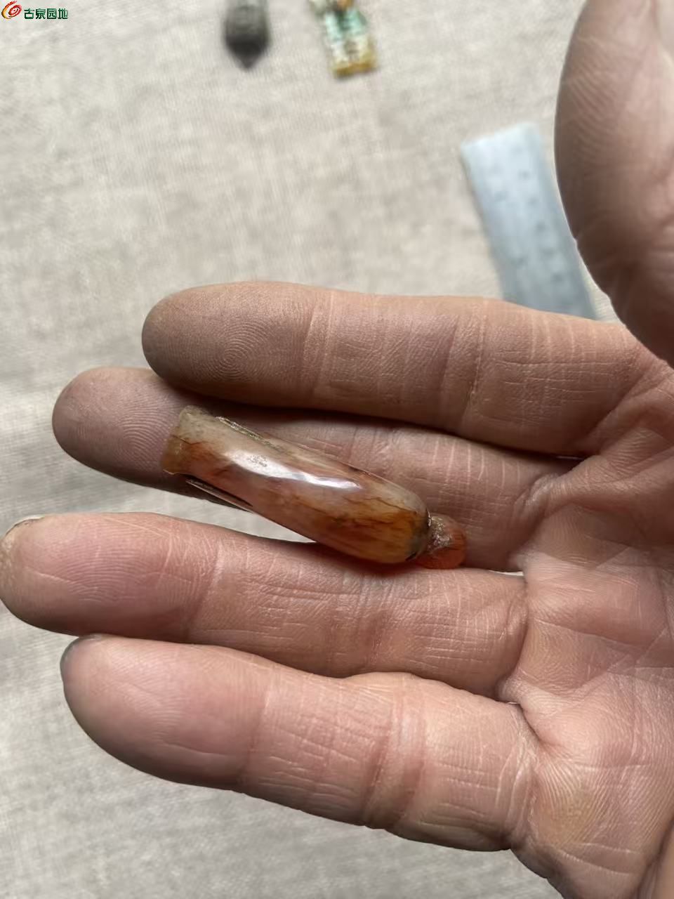 微信图片_20260301124213_1052_3.jpg