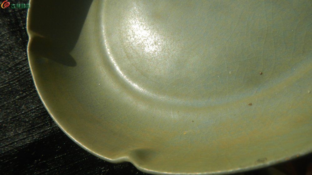 DSCN5151.JPG