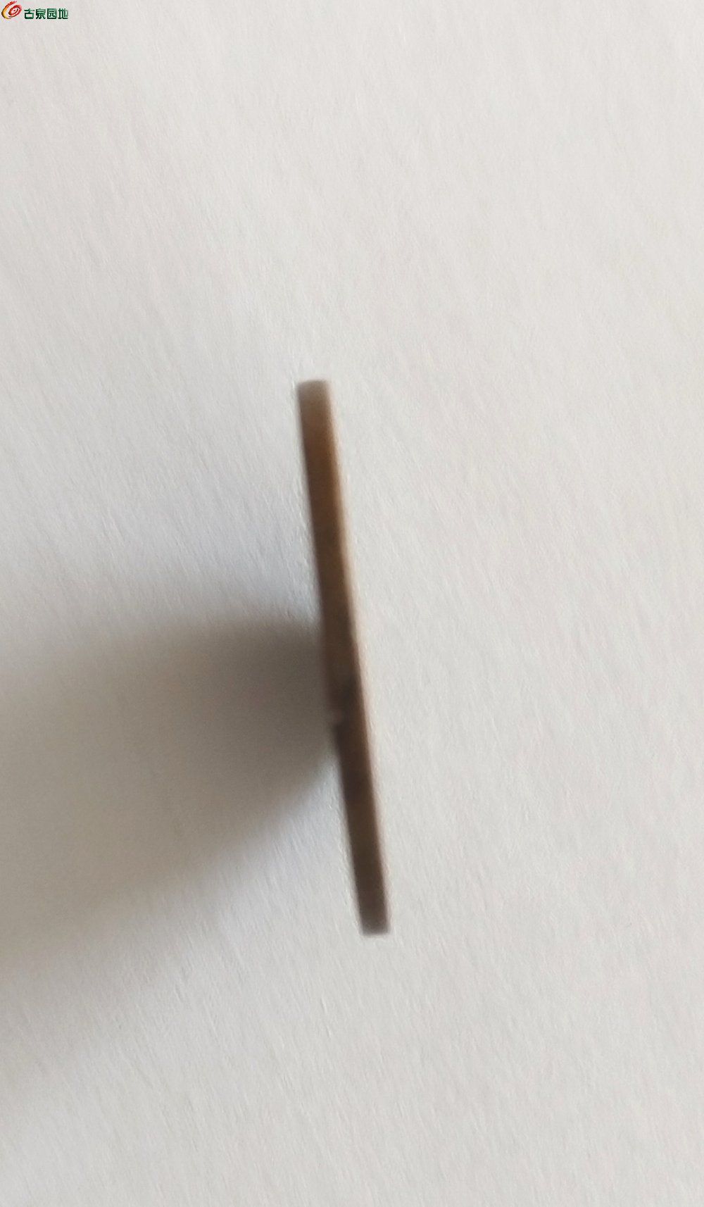 IMG_20230627_161924_edit_817859621961082