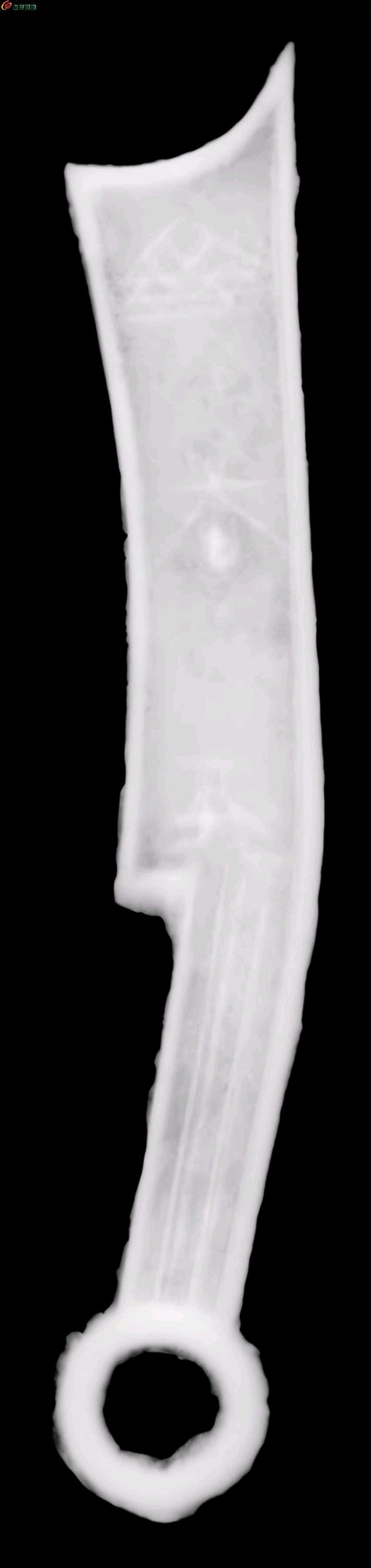 1768391852047.xfile.jpg