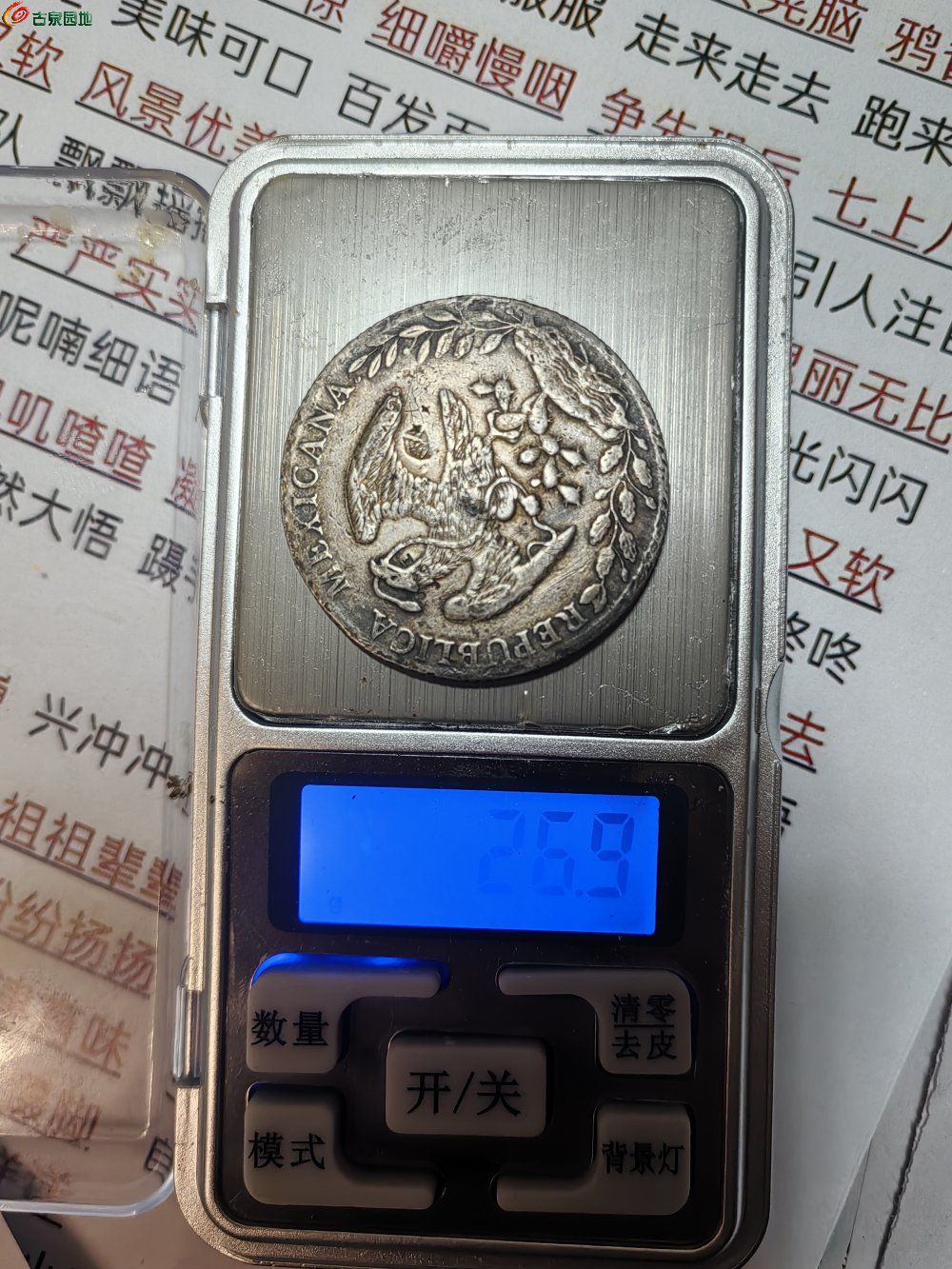 1768572523898_dd9065b9-a17a-4dc5-af75-6e