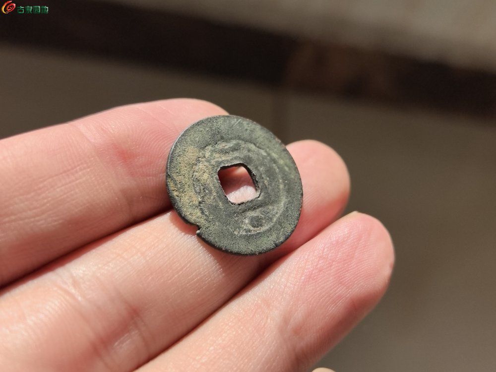 IMG_20251101_105549_edit_226415511724303