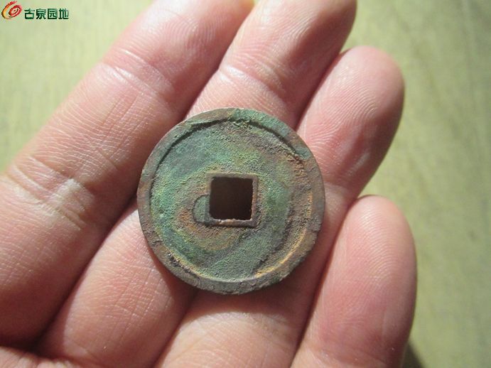 大定极品2.jpg