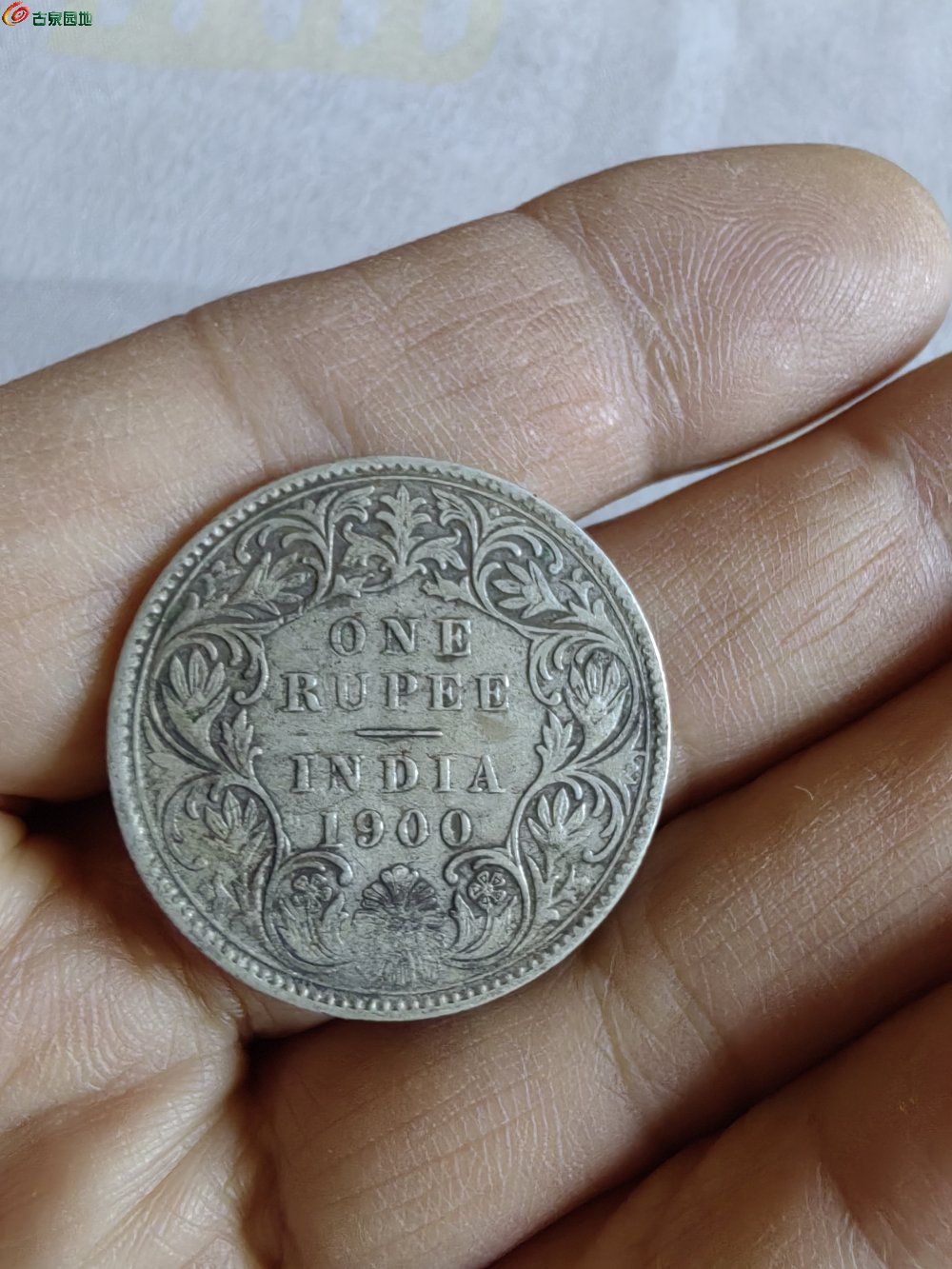 IMG_20260120_094921_edit_376807000408289