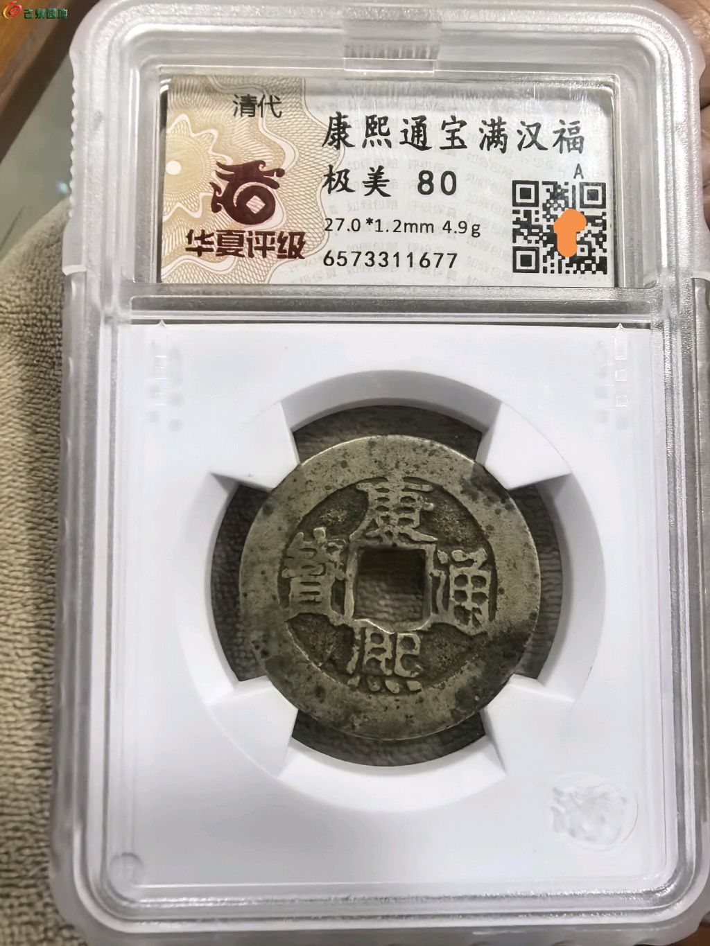 1768982539030.xfile.jpg