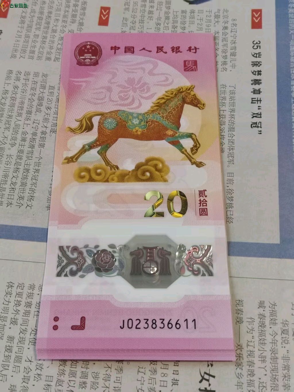 1769335274752.xfile.jpg
