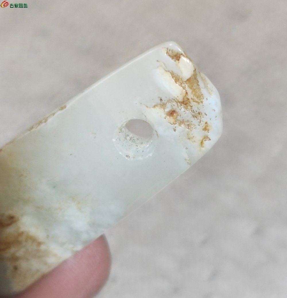 IMG_20260129_090809_edit_457777190210267