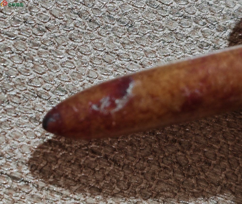 IMG_20260129_085000_edit_456972196796719