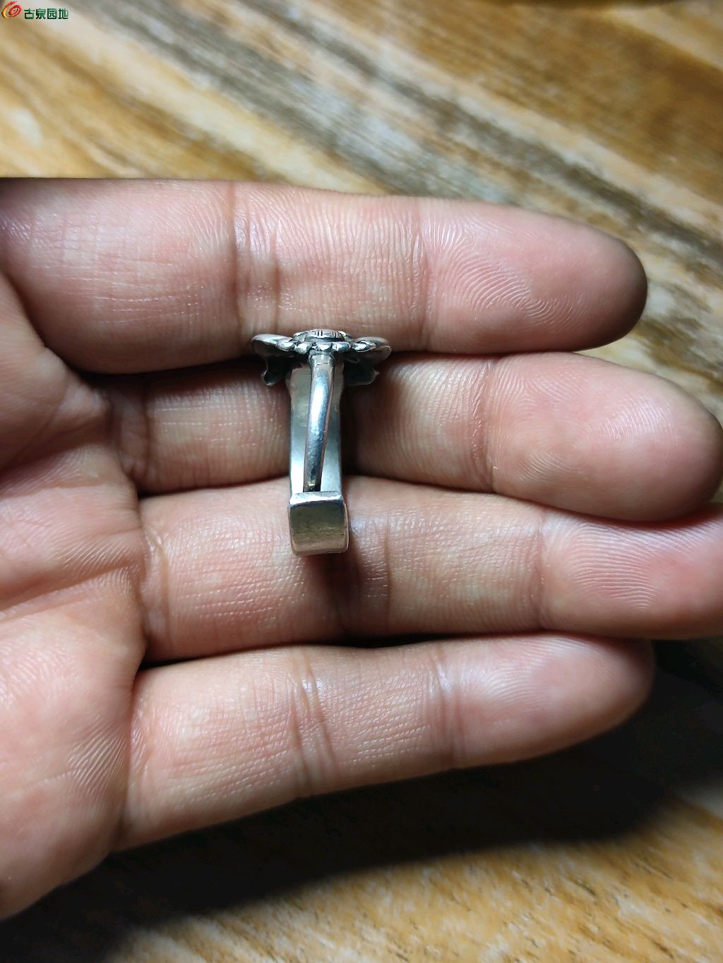 1769692302616.xfile.jpg