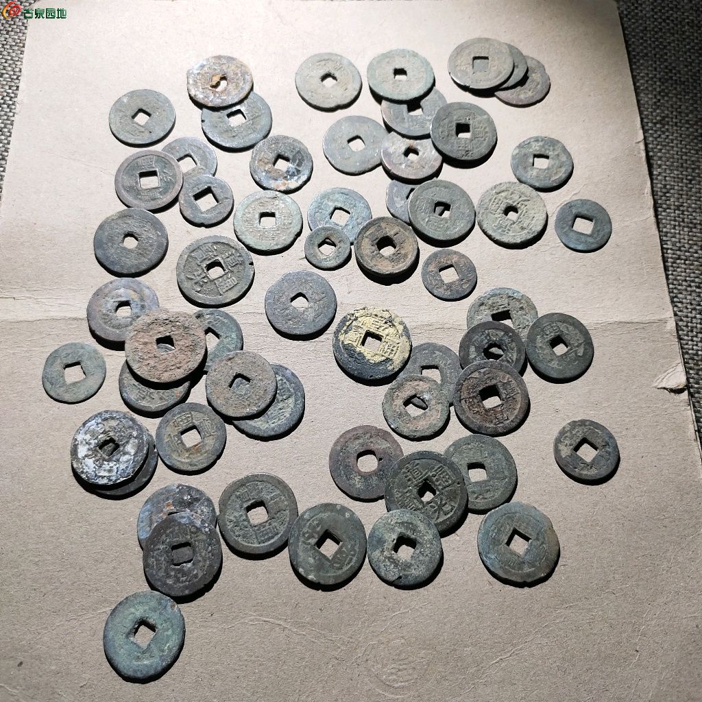 1769866692912.xfile.jpg