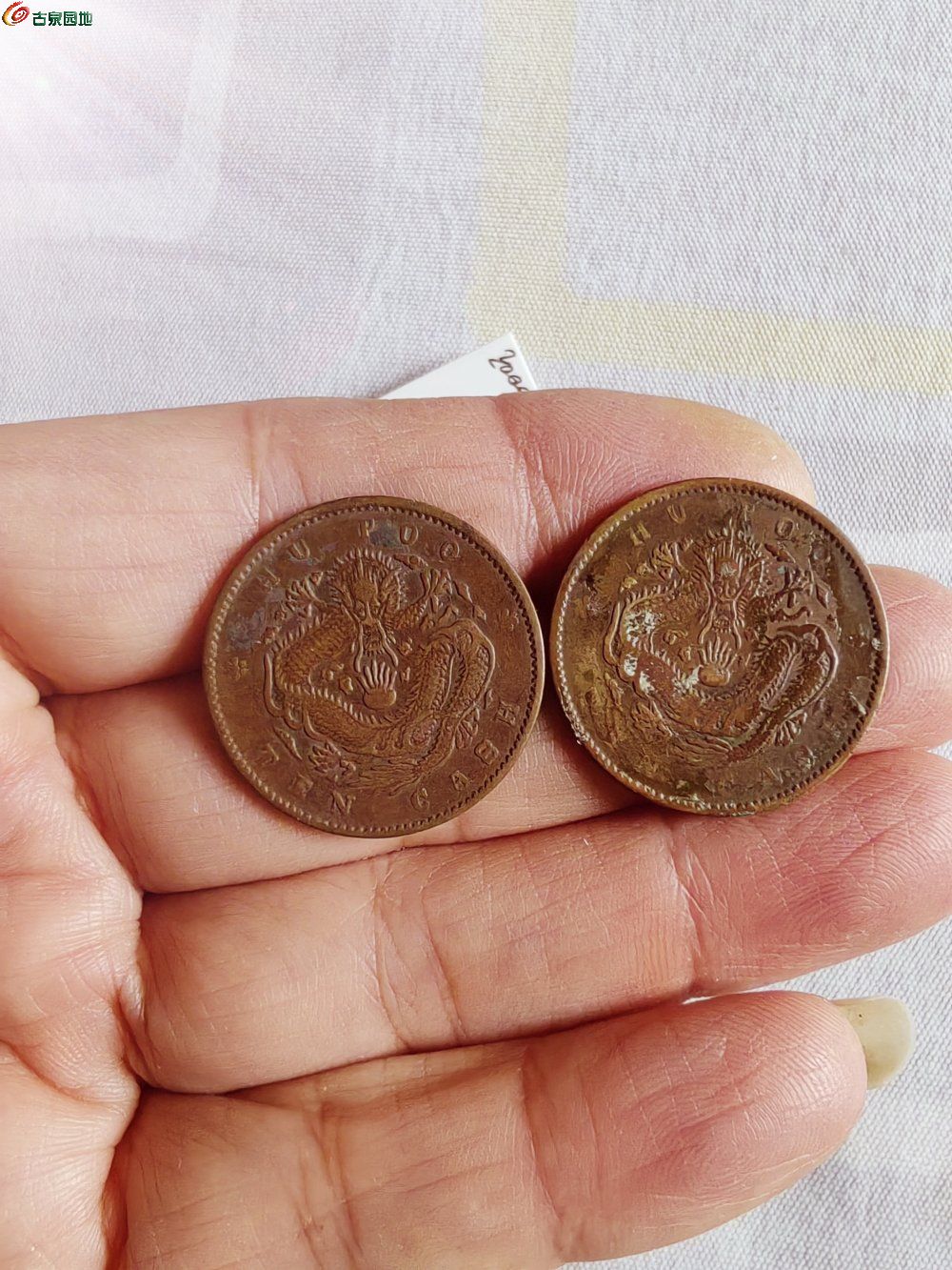 IMG_20260131_103829_edit_948163263419968