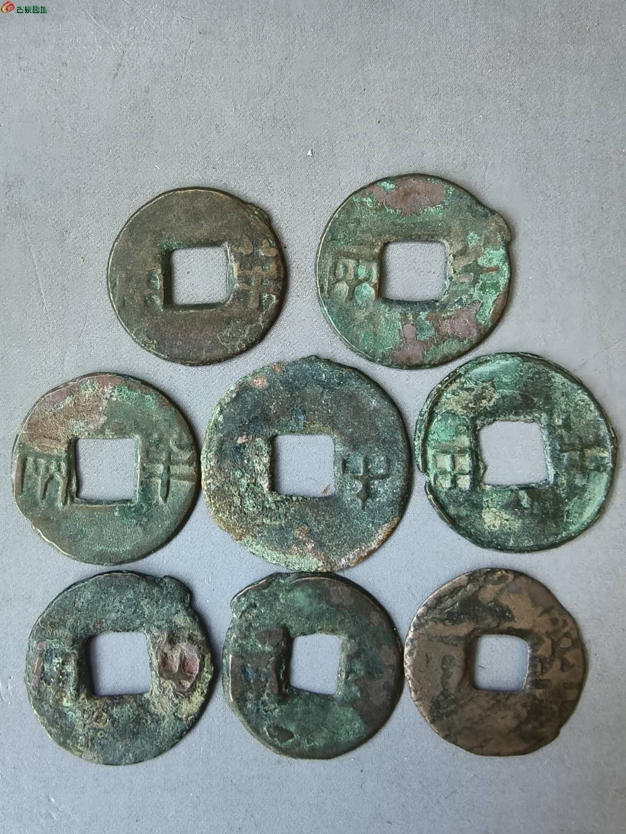 13589.jpg