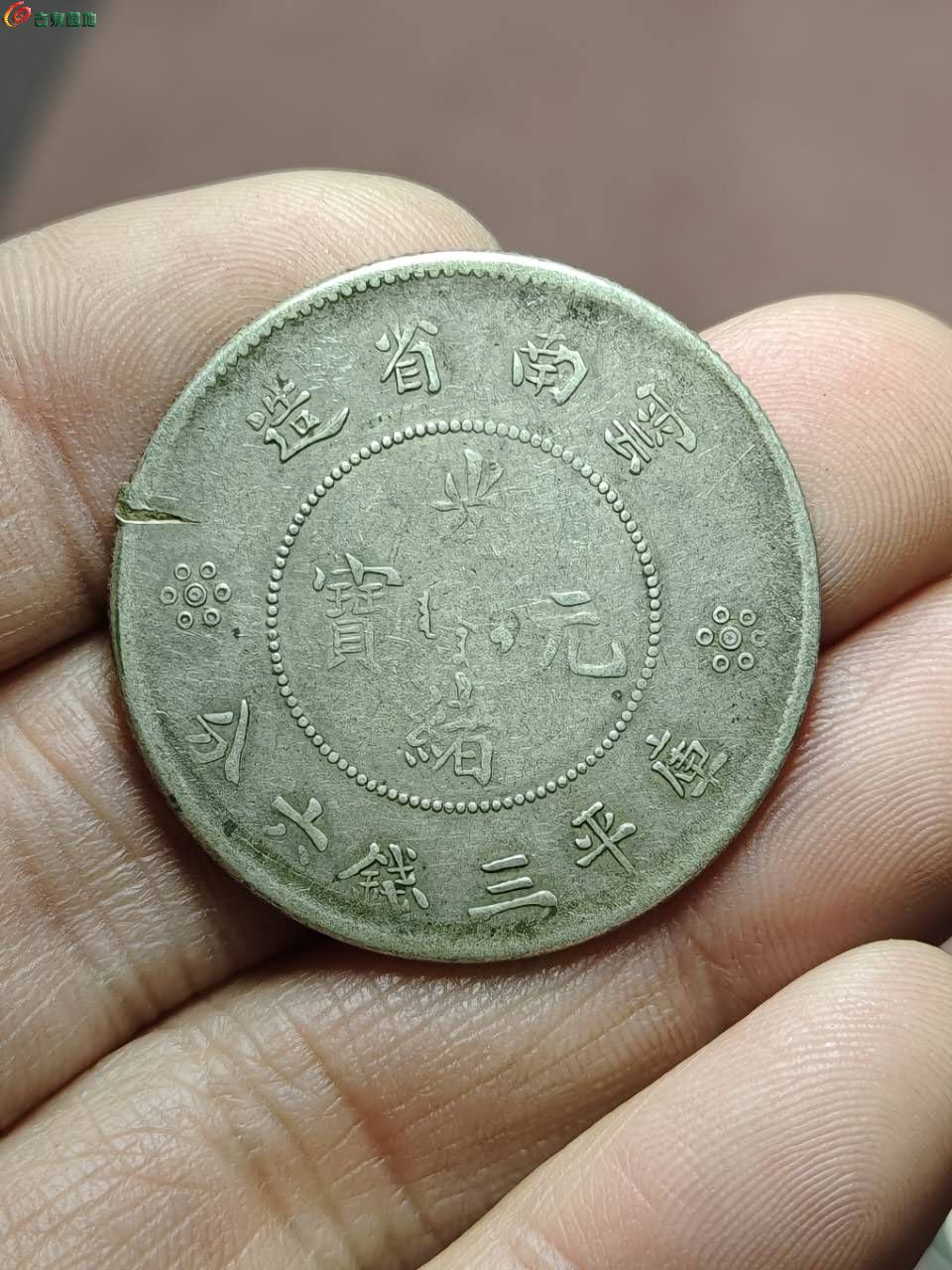 13911.jpg