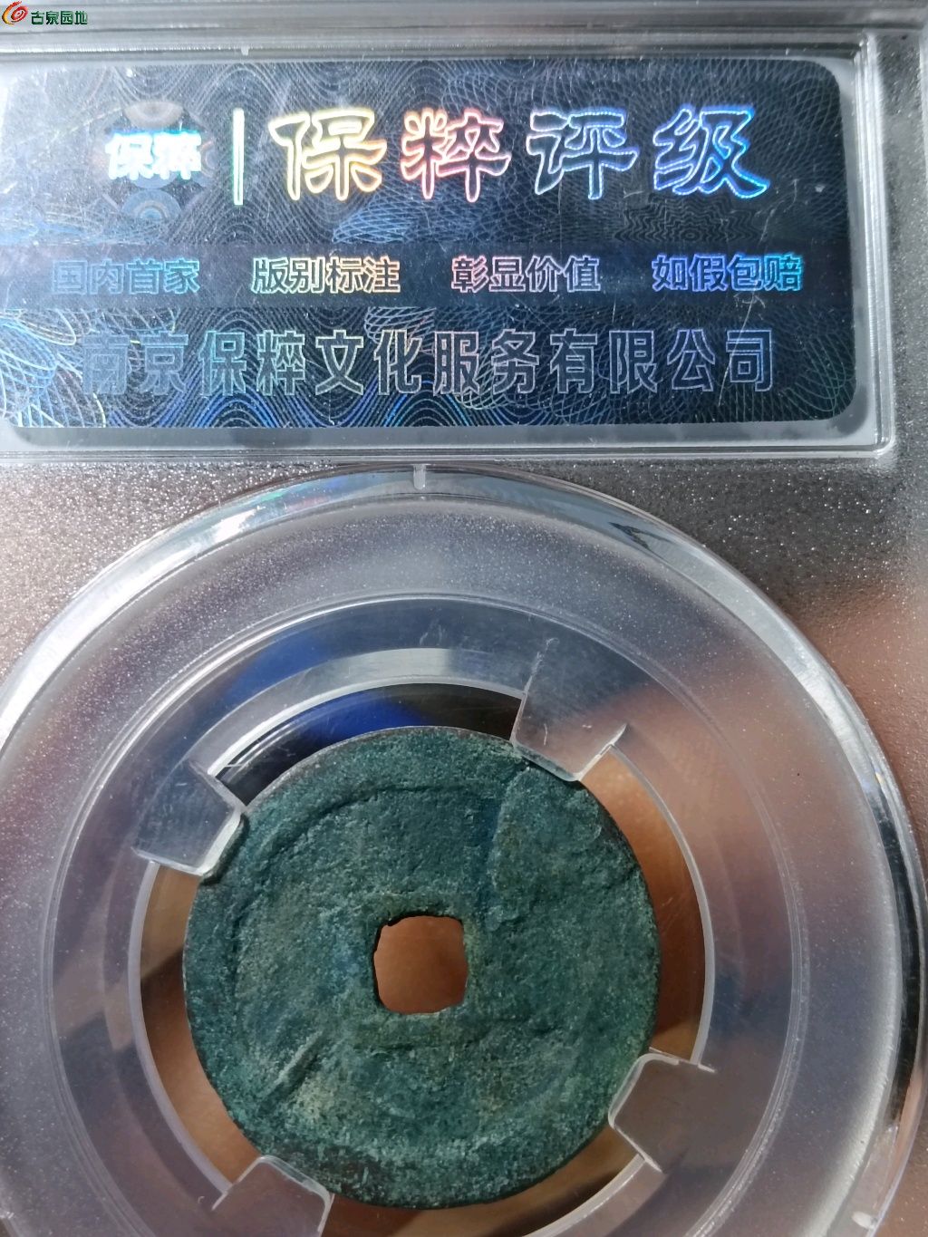1770102781880.xfile.jpg