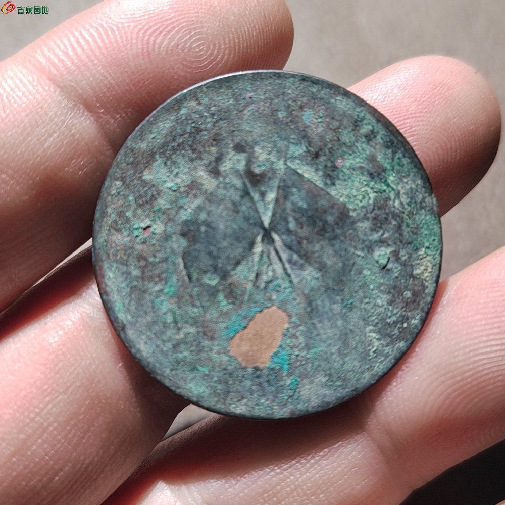 IMG_20260207_194917_edit_62143499817543.