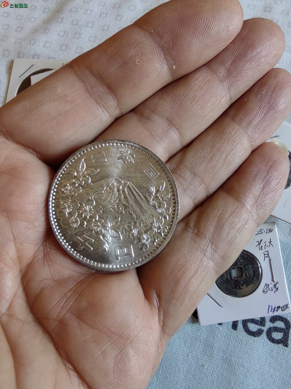 IMG_20251227_133112_edit_370904148533040