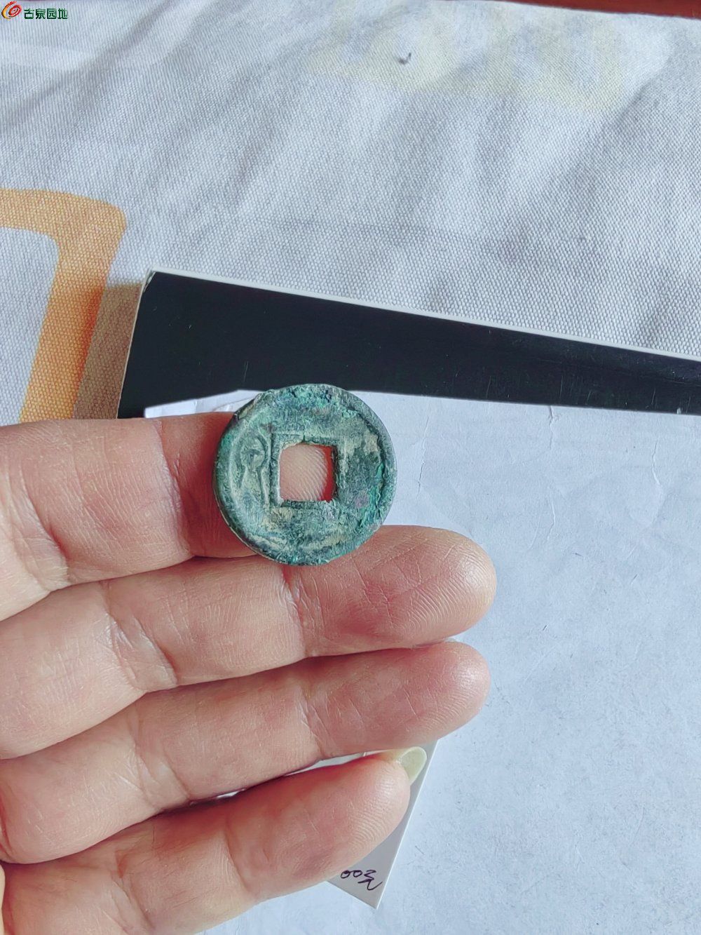 IMG_20260209_095755_edit_140169452780185