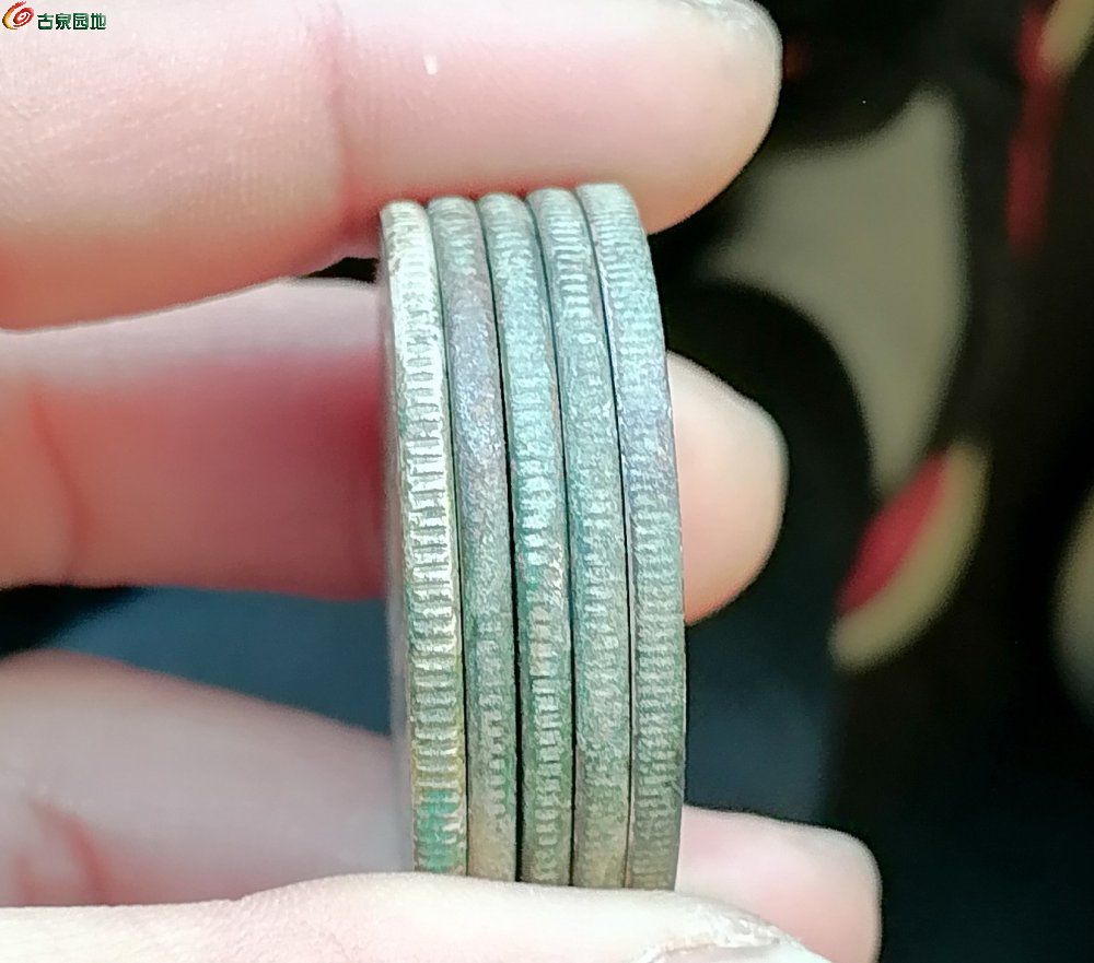 IMG_20260210_114215_edit_253005699865558