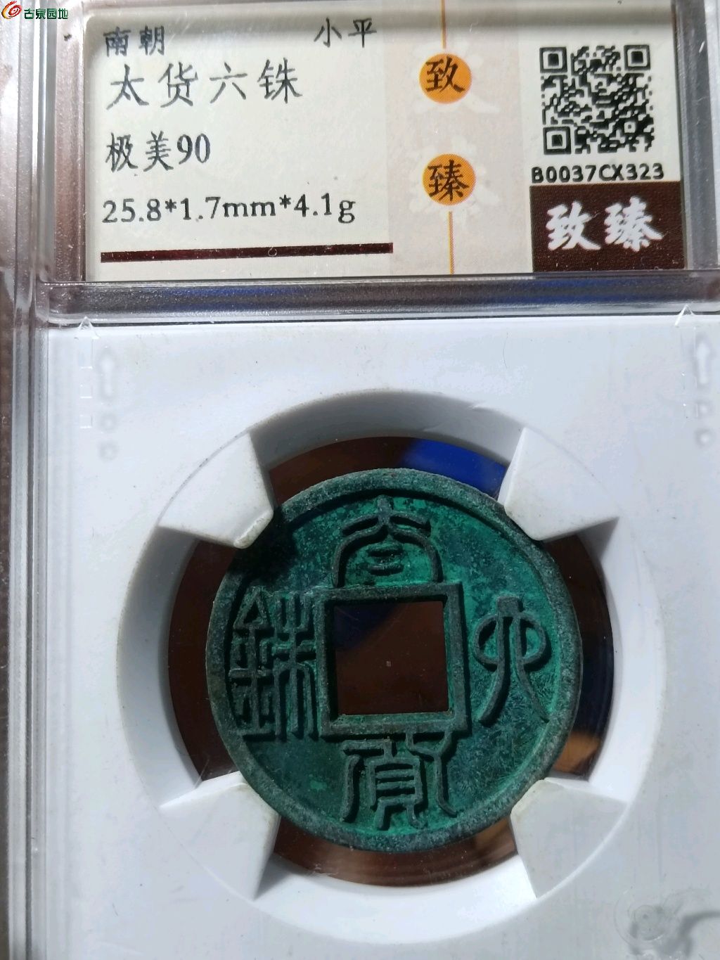 1770702813681.xfile.jpg