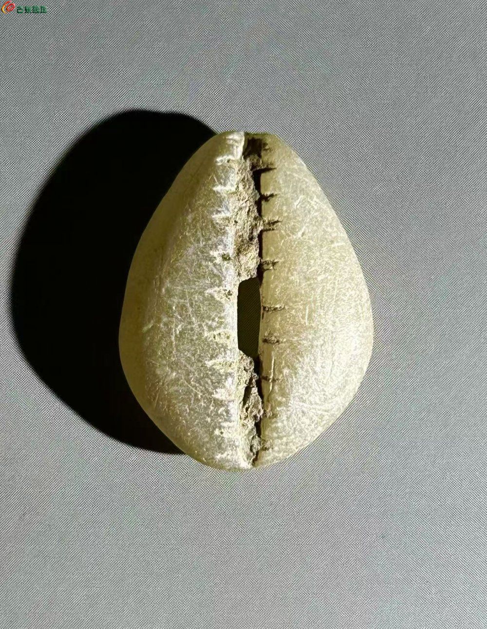 DB445CCC-71E1-4DB9-A8A8-1B2B75970464.jpe