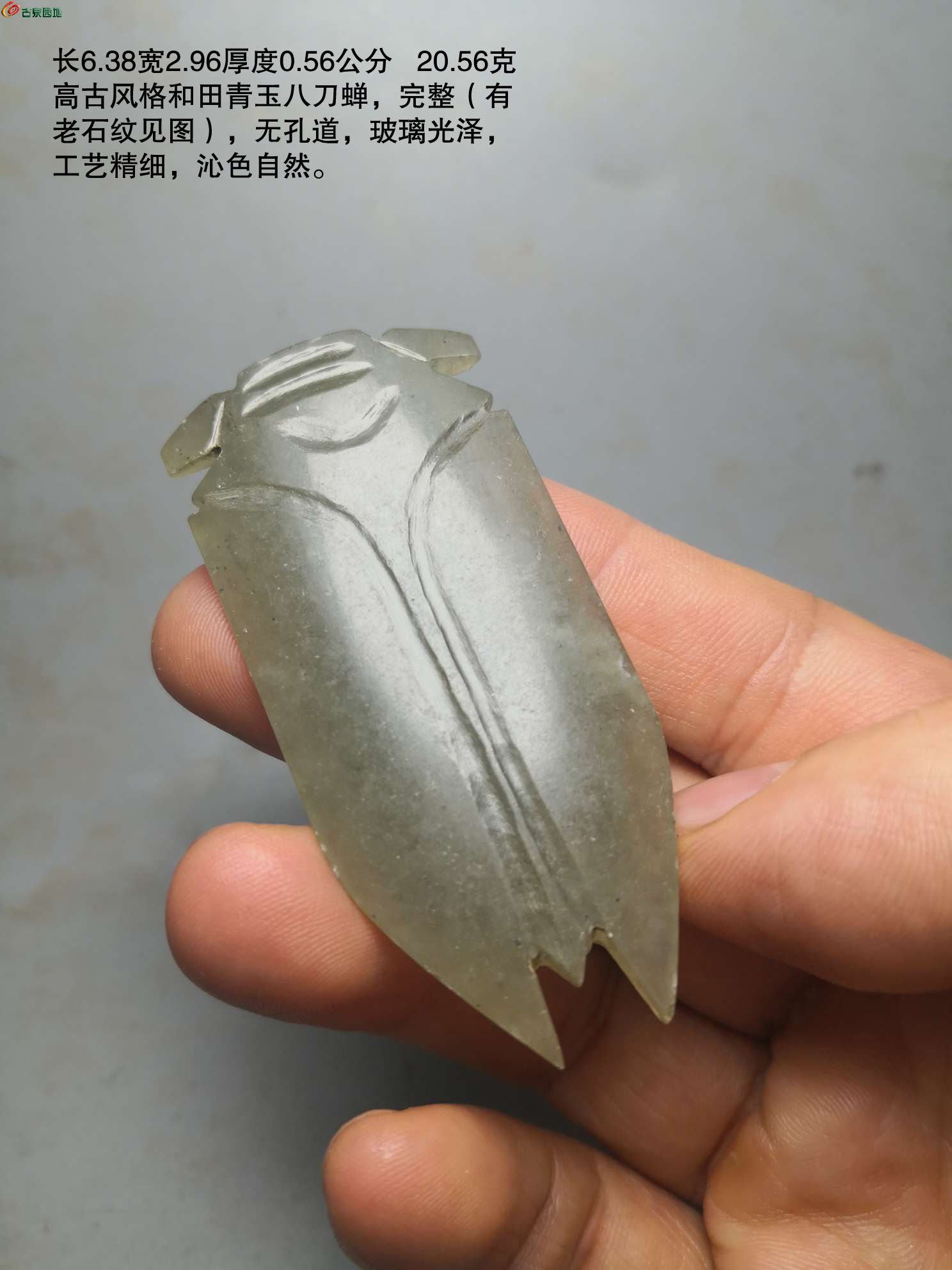 高古风格和田青玉八刀蝉68-1.jpg
