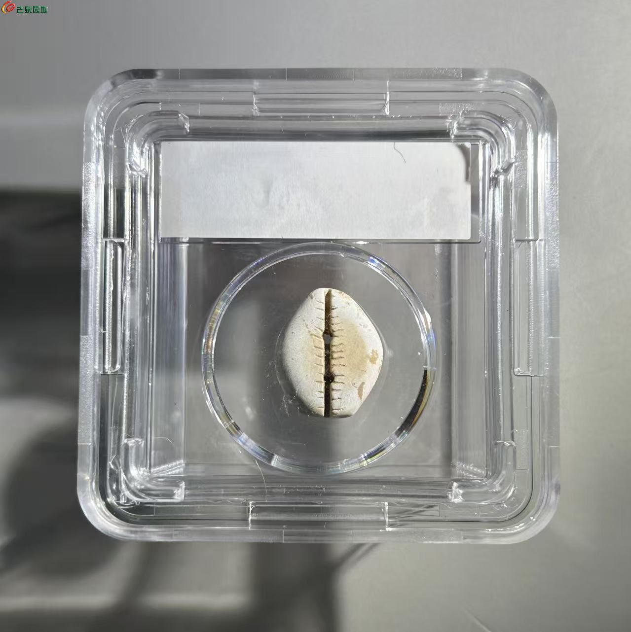 A5EDD35A-2318-41B9-B41B-00041FEEE2F0.jpe