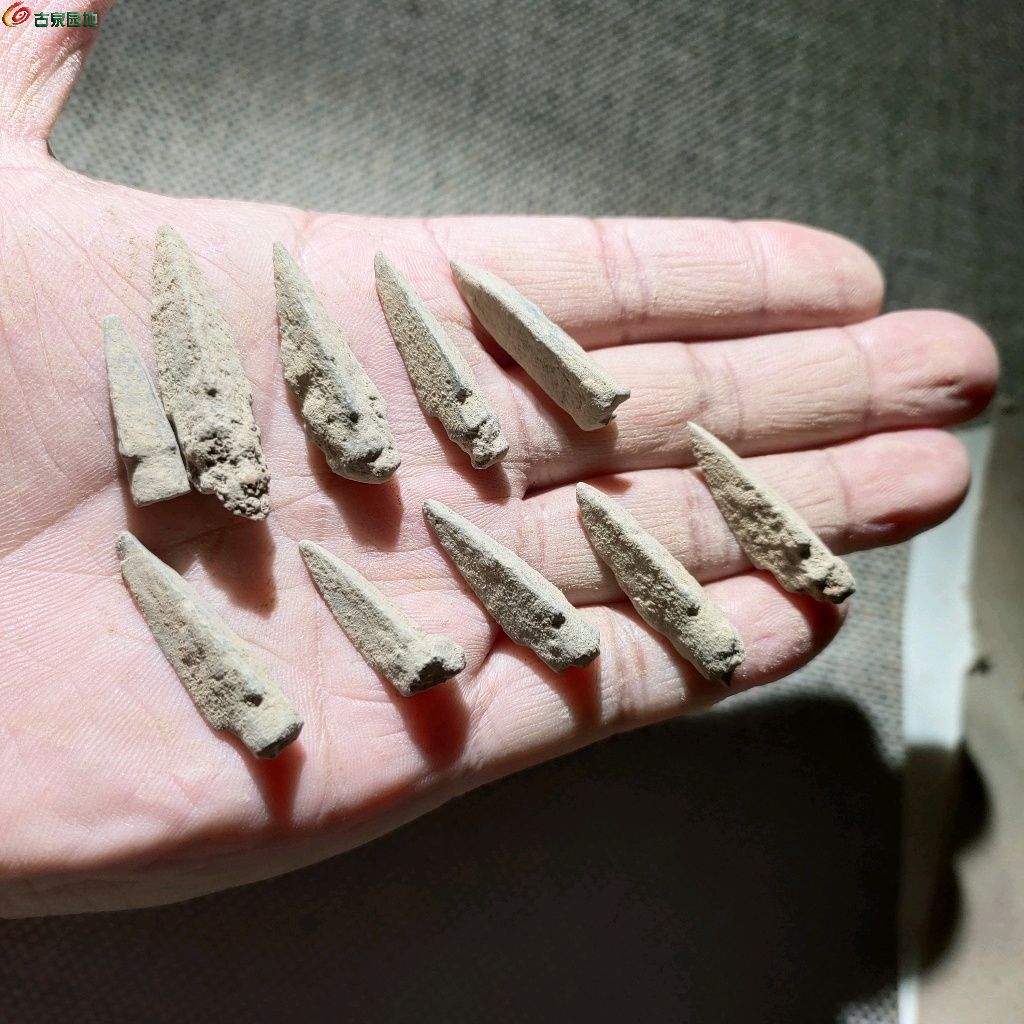 1771422593145.xfile.jpg