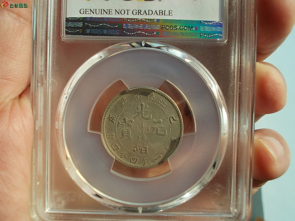 江南巳亥龙 &nbsp;2.JPG