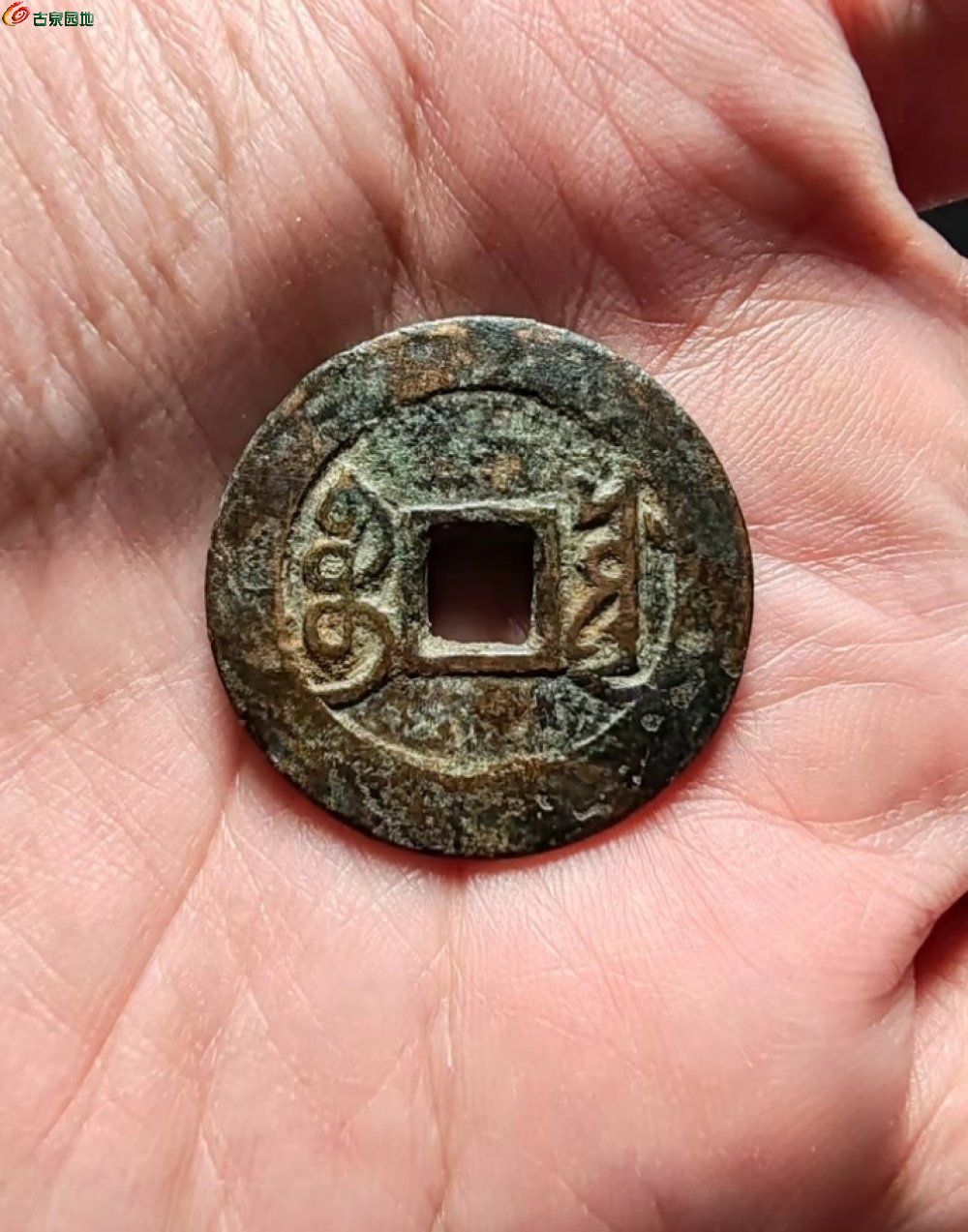 Screenshot_2026-02-24-16-09-29-60_99c048