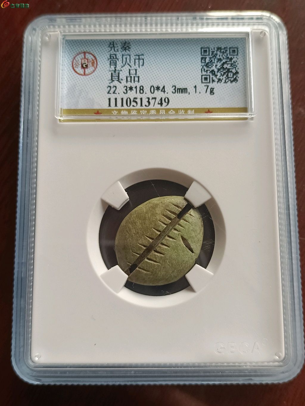 1767921499463.xfile.jpg