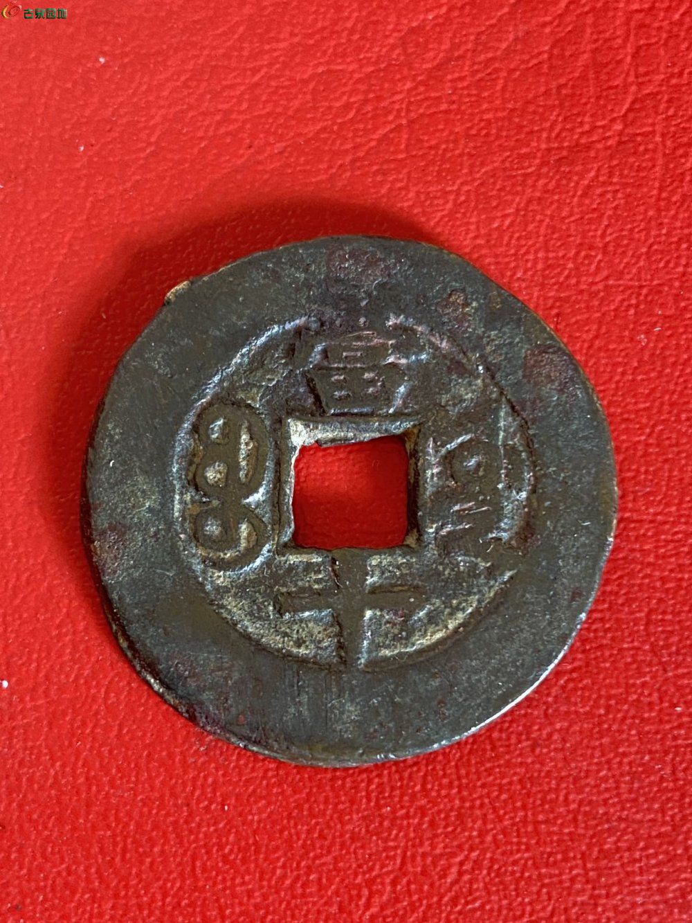 77498.jpg