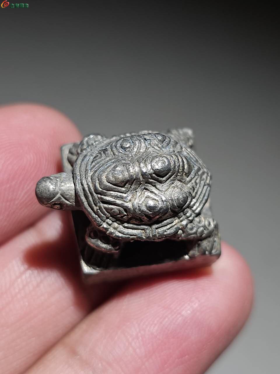 银 质 龟印7.jpg