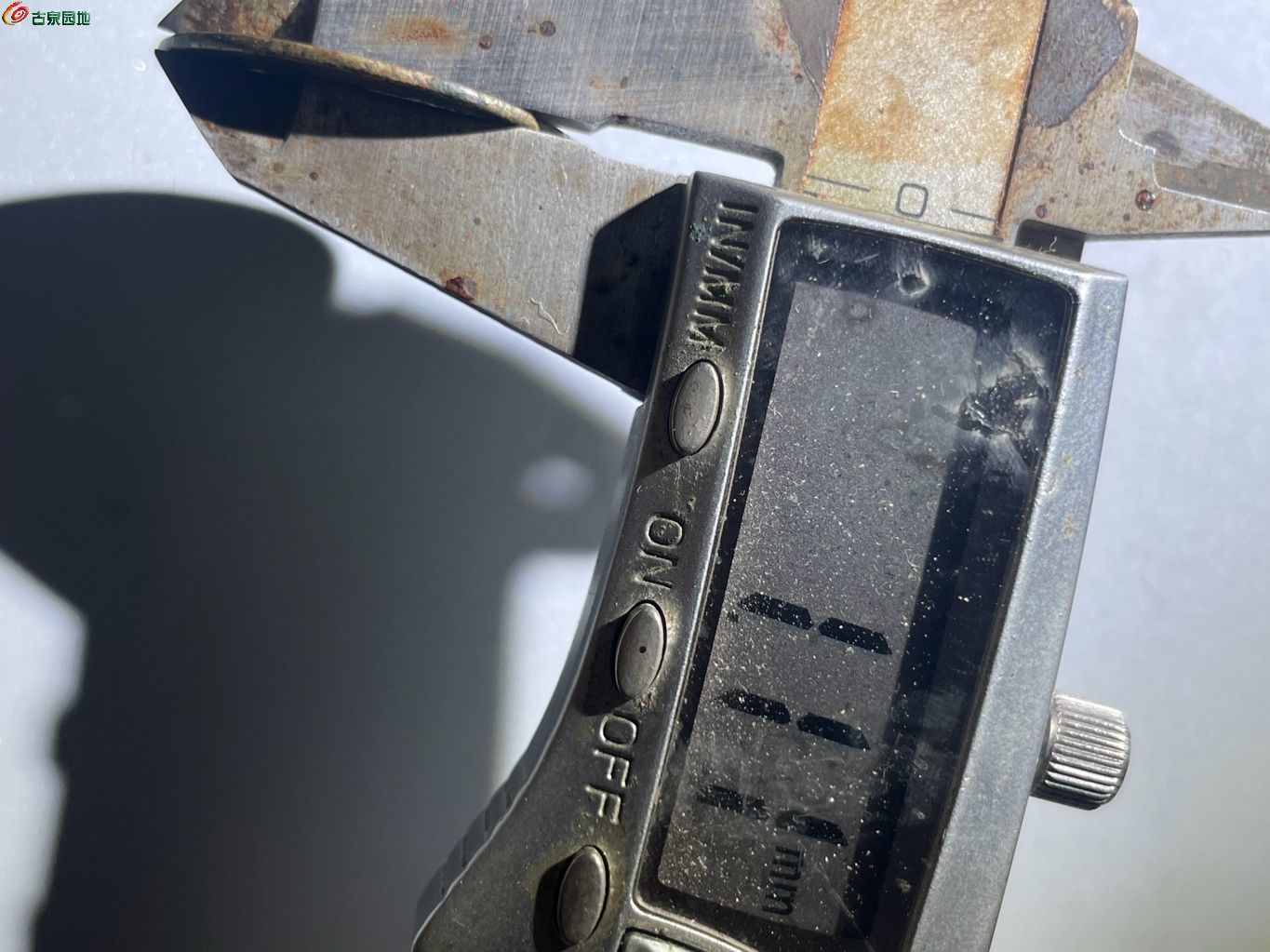 1768381719617.xfile.jpg