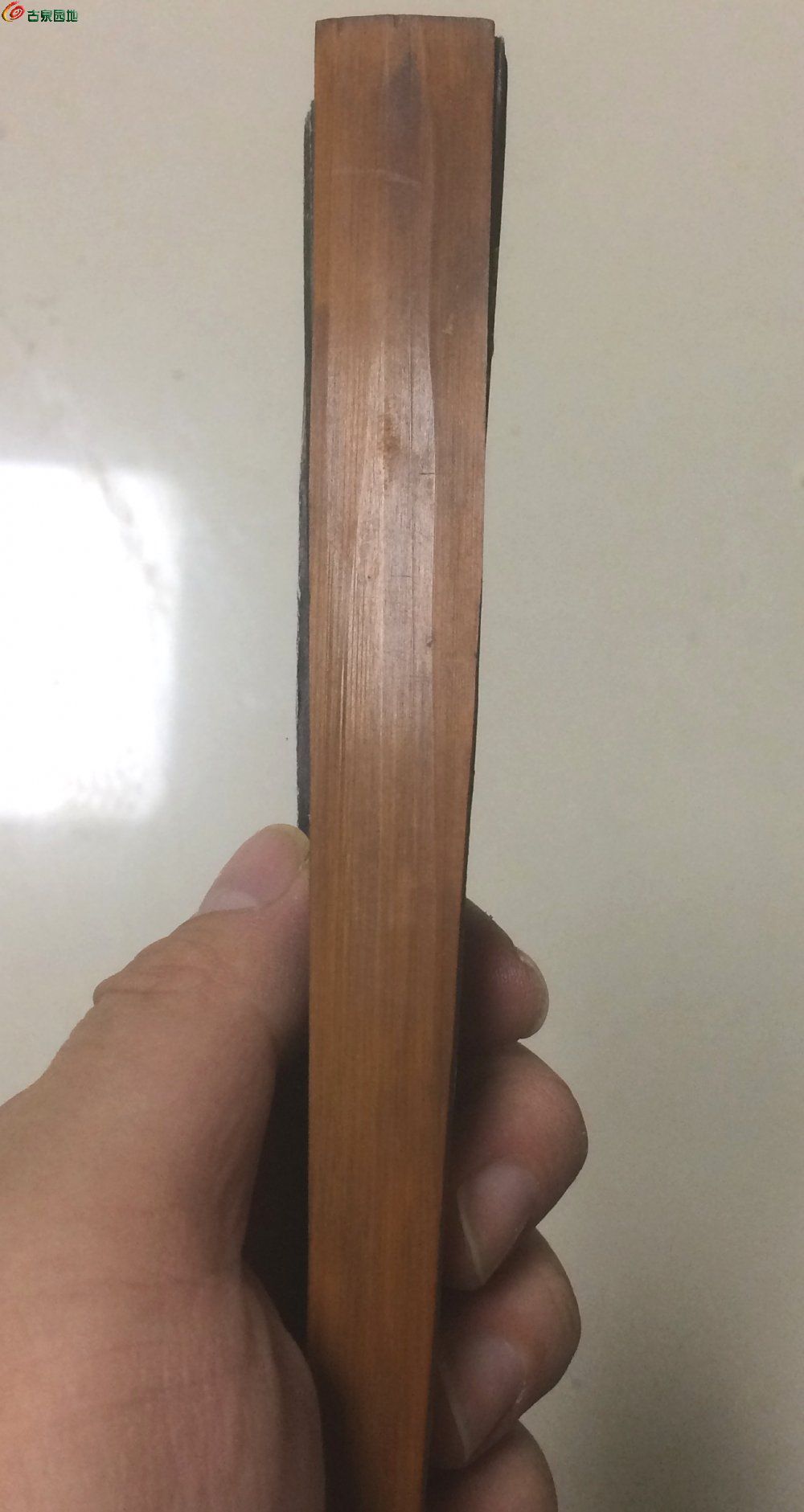 Image_1763125811885_edit_127930402398187