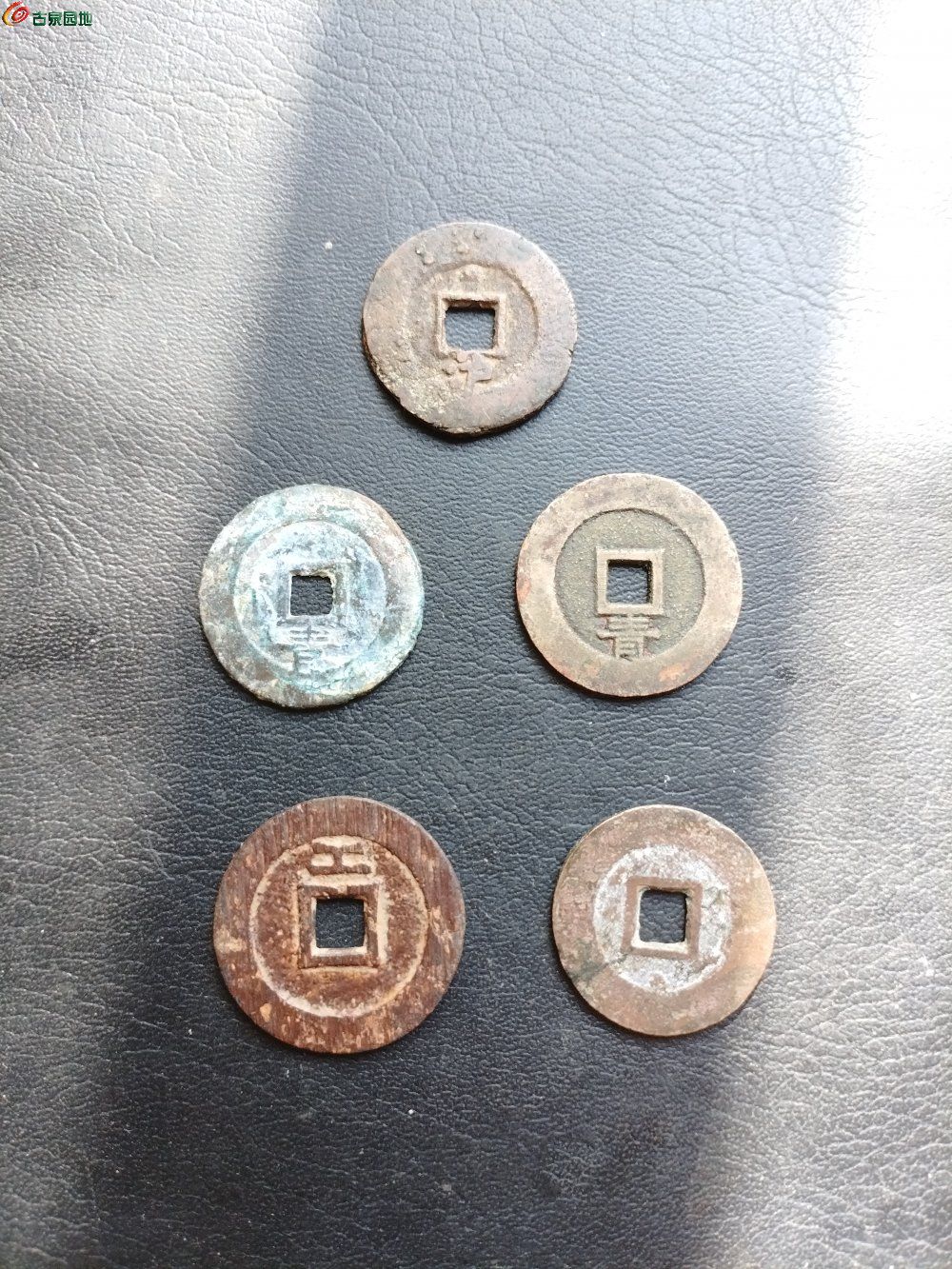1768538071094.jpg