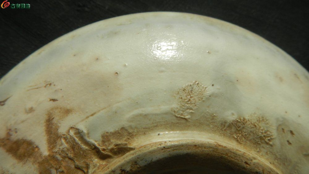 DSCN5203.JPG