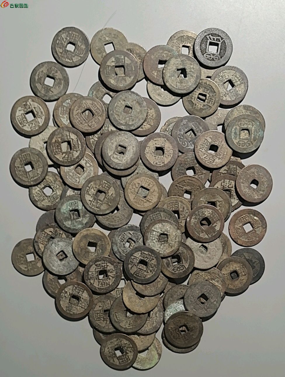 1768919524676.xfile.jpg