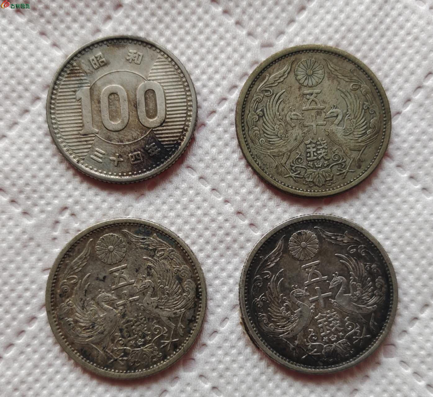 18197.jpg