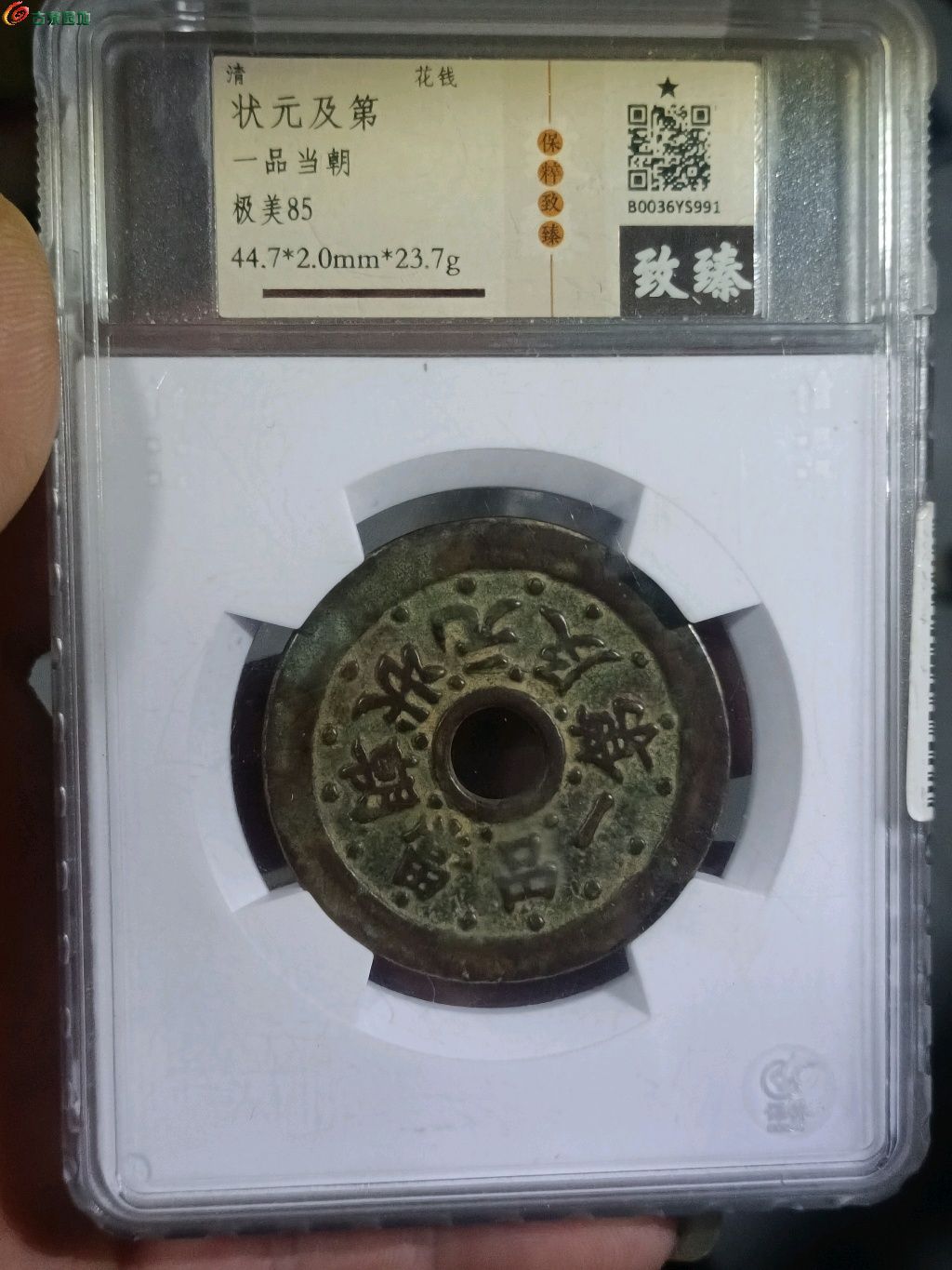1769782087684.xfile.jpg