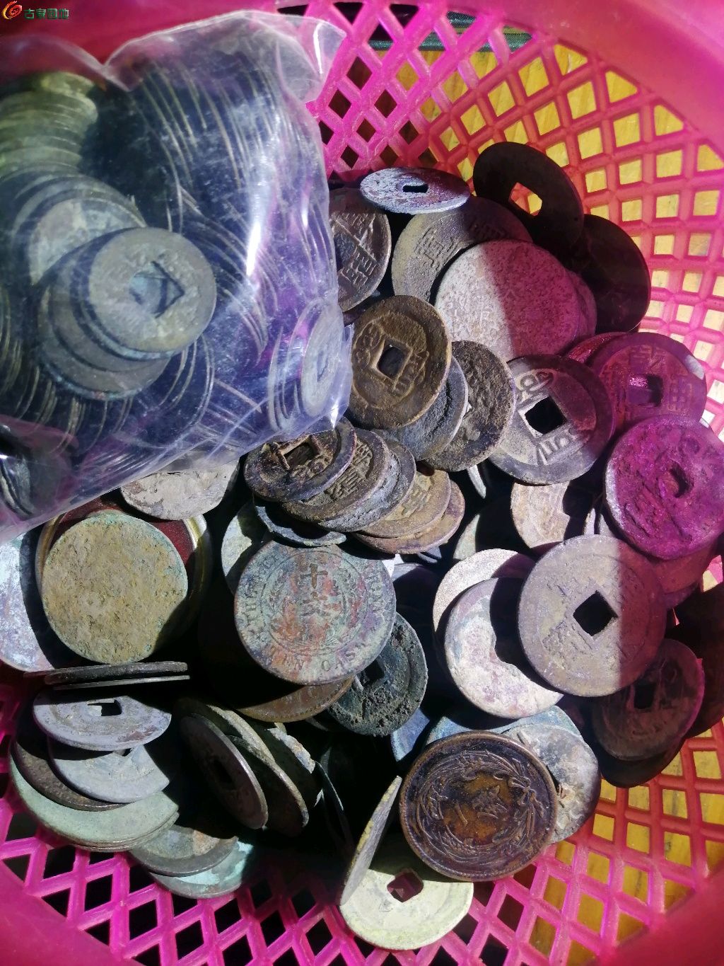 1770101891506.xfile.jpg