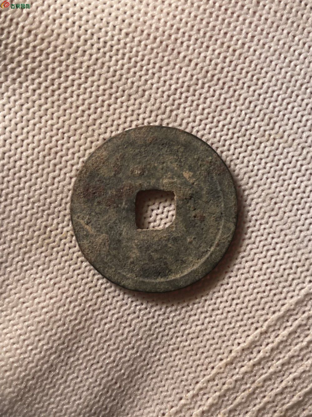31982.jpg