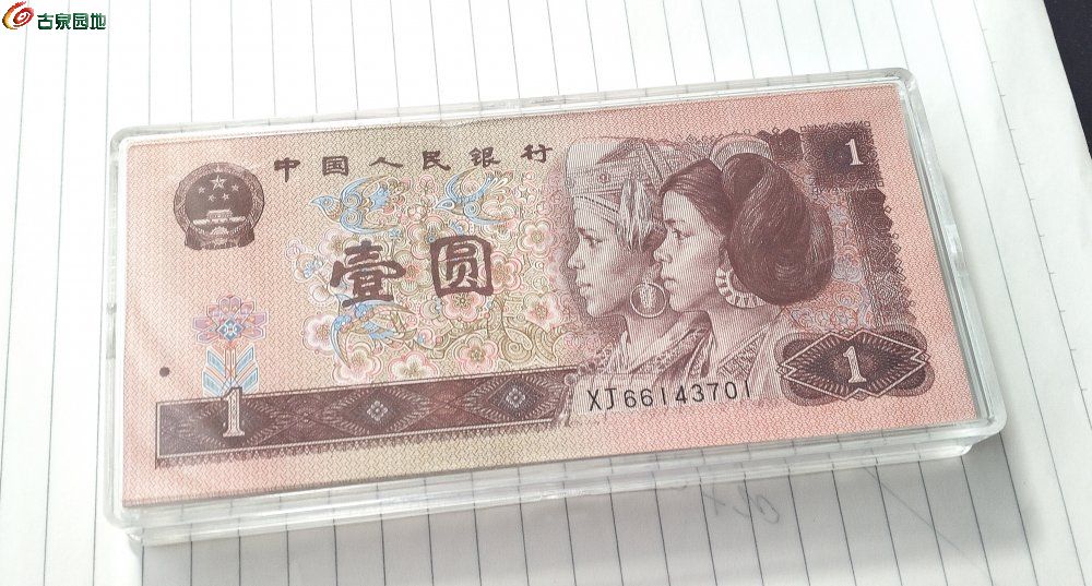 IMG_20260204_080405_edit_135167222907238