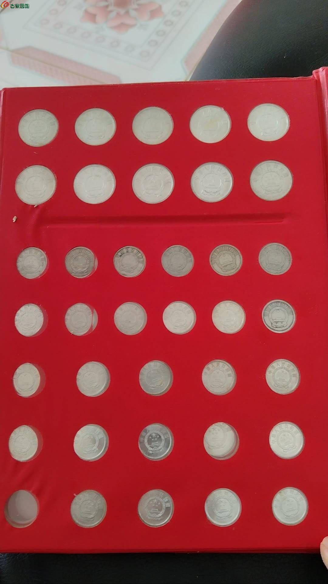 55855.jpg