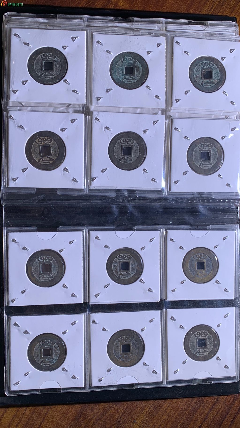 1770367060875.xfile.jpg