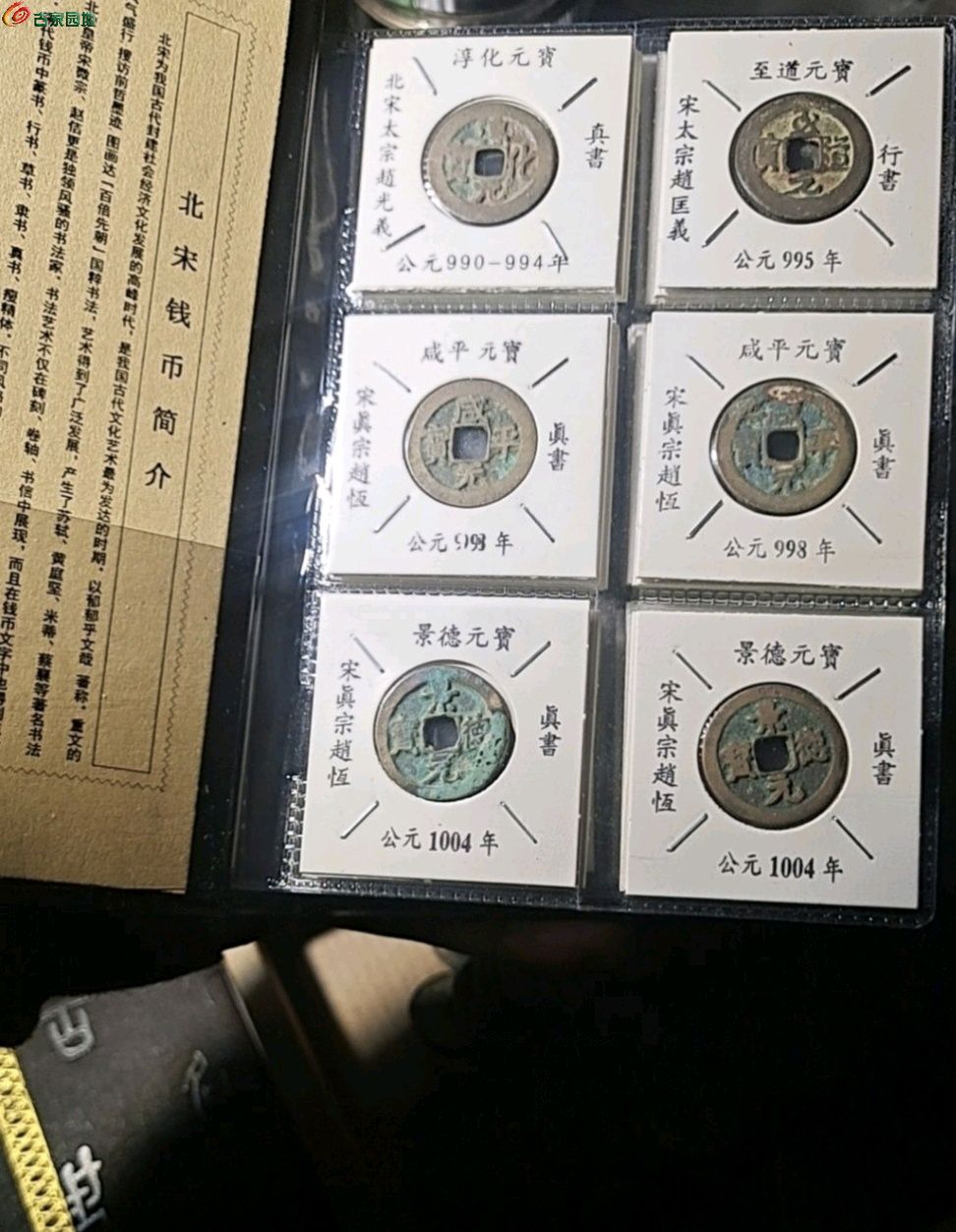 1770386590842.xfile.jpg