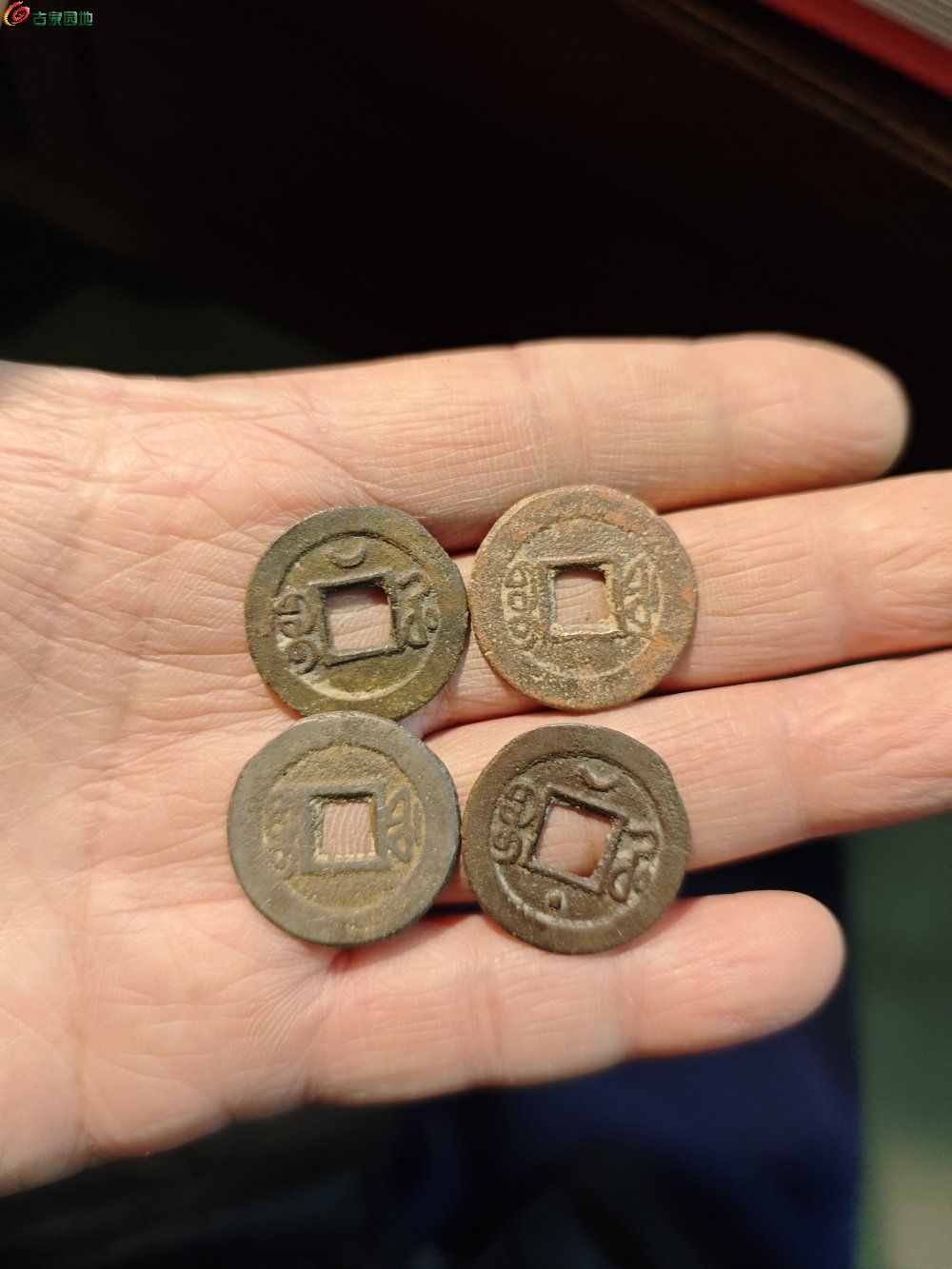 IMG_20260207_014950_1770400743520edit.jp